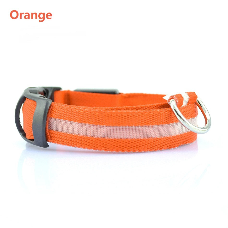 Radiant Paw - LED Safety Dog Collar. Anti-Lost Tracker Included
