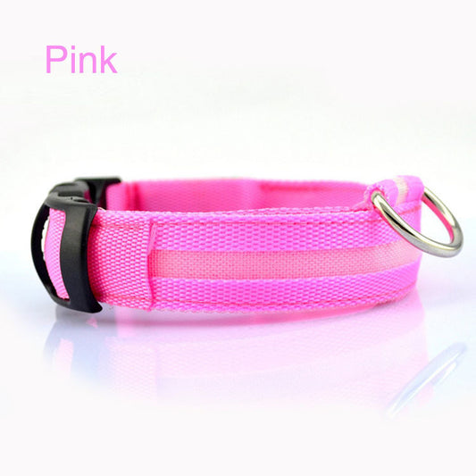 Radiant Paw - LED Safety Dog Collar. Anti-Lost Tracker Included