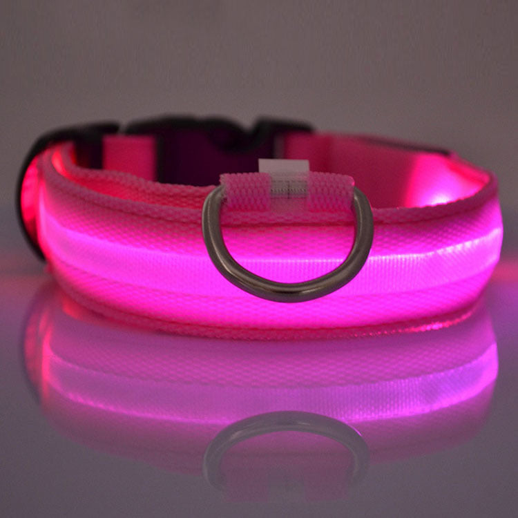 Radiant Paw - LED Safety Dog Collar. Anti-Lost Tracker Included