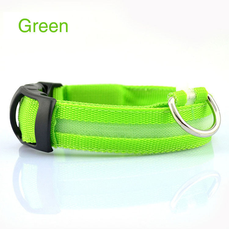 Radiant Paw - LED Safety Dog Collar. Anti-Lost Tracker Included