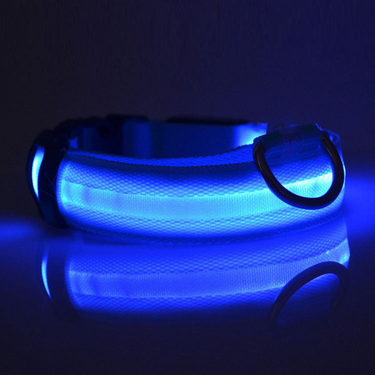Radiant Paw - LED Safety Dog Collar. Anti-Lost Tracker Included
