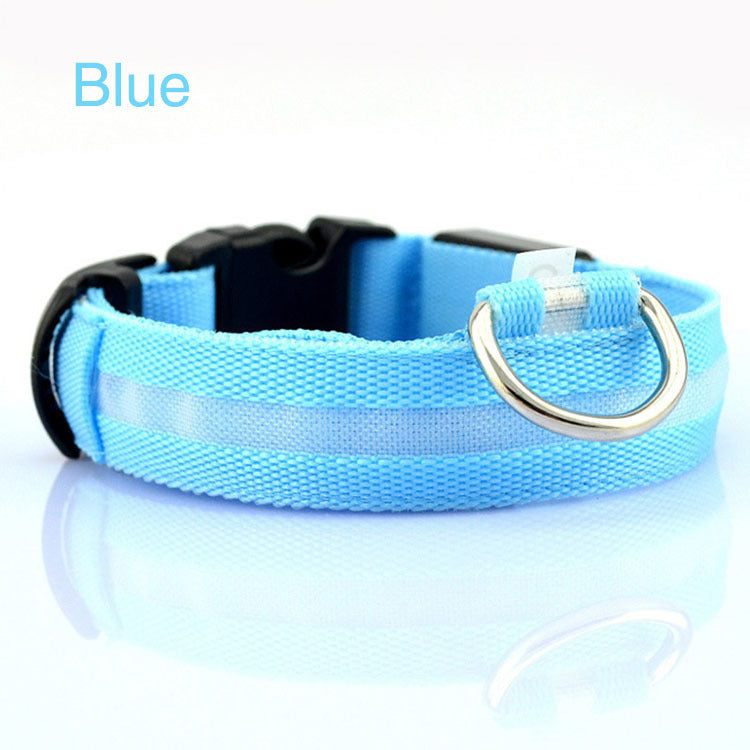 Radiant Paw - LED Safety Dog Collar. Anti-Lost Tracker Included