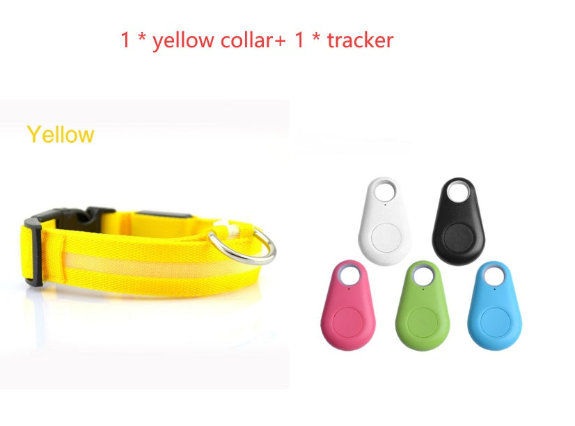 Radiant Paw - LED Safety Dog Collar. Anti-Lost Tracker Included