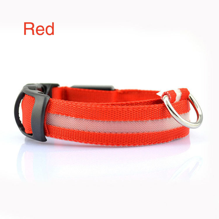 Radiant Paw - LED Safety Dog Collar. Anti-Lost Tracker Included