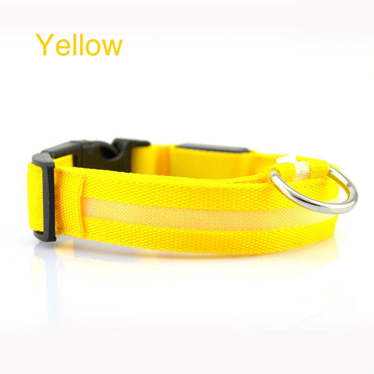 Radiant Paw - LED Safety Dog Collar. Anti-Lost Tracker Included