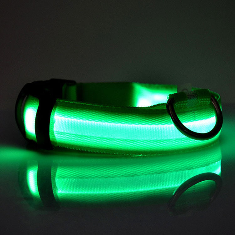 Radiant Paw - LED Safety Dog Collar. Anti-Lost Tracker Included